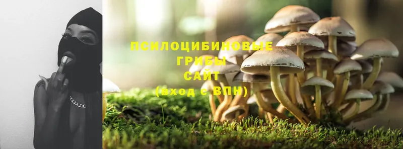 Псилоцибиновые грибы MAGIC MUSHROOMS  закладки  Прохладный 